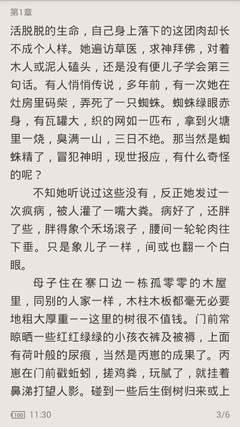 被菲律宾遣返回国后会进入菲律宾黑名单吗